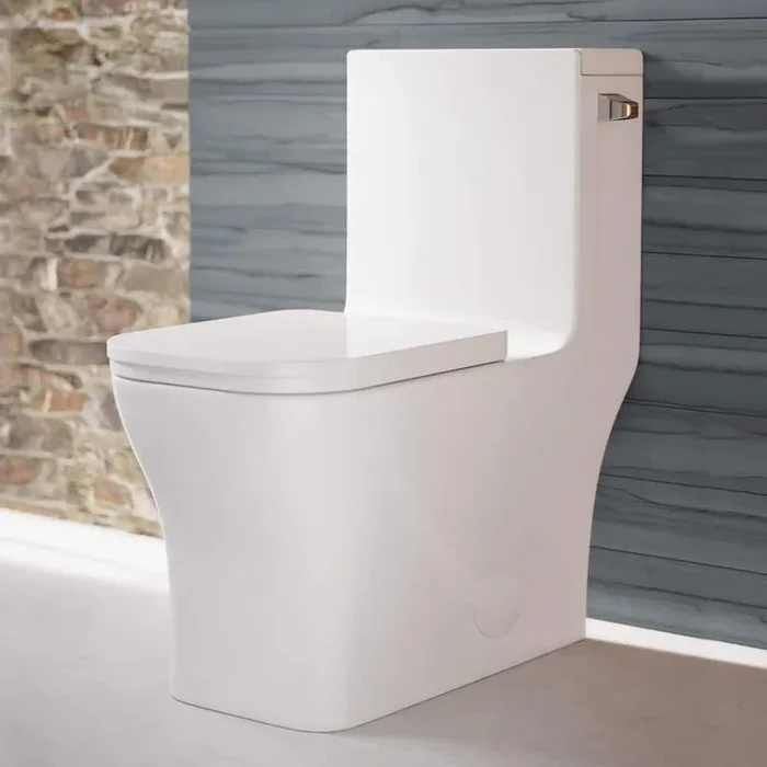 Concorde 1-piece 1.28 GPF Single Flush Square Toilet in. Glossy White Seat Included