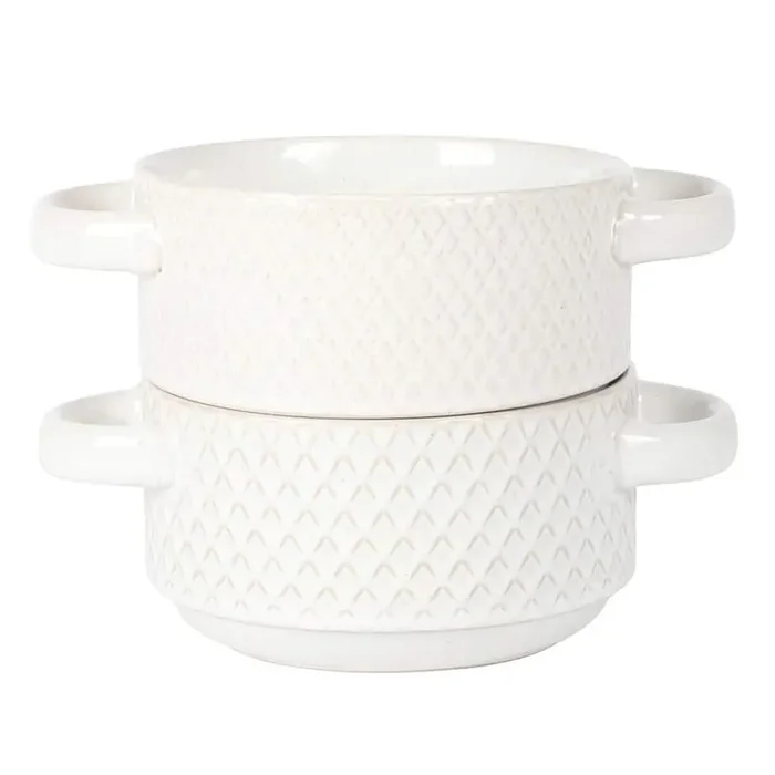Earlhart 2 Piece 6 in. Ribbed Stoneware Soup Bowl Dinnerware Set with Handles in White