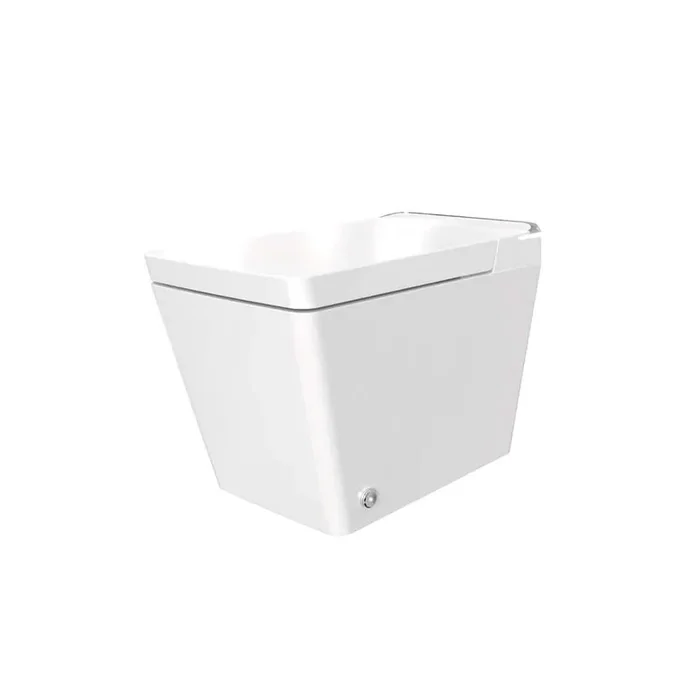 Elongated Bidet Toilet 1.28 GPF in White with Wireless Remote Control, Automatic Lid, Massage Seat, Automatic Flushing