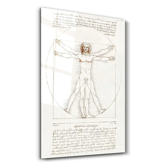 Leonardo da Vinci’s The Vitruvian Man 1498 | Glass Wall Art