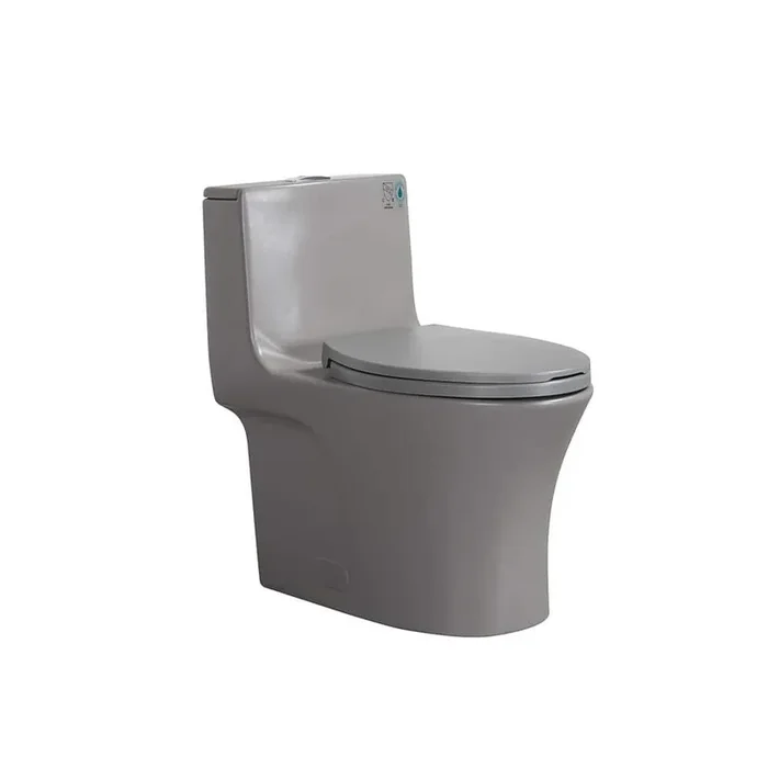 Lifelive 1-Piece 1.1/1.6 GPF Dual Flush Elongated Toilet in Gray