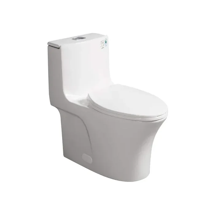 Lifelive One-Piece 1.1/1.6 GPF Dual Flush Elongated Toilet in Glossy White