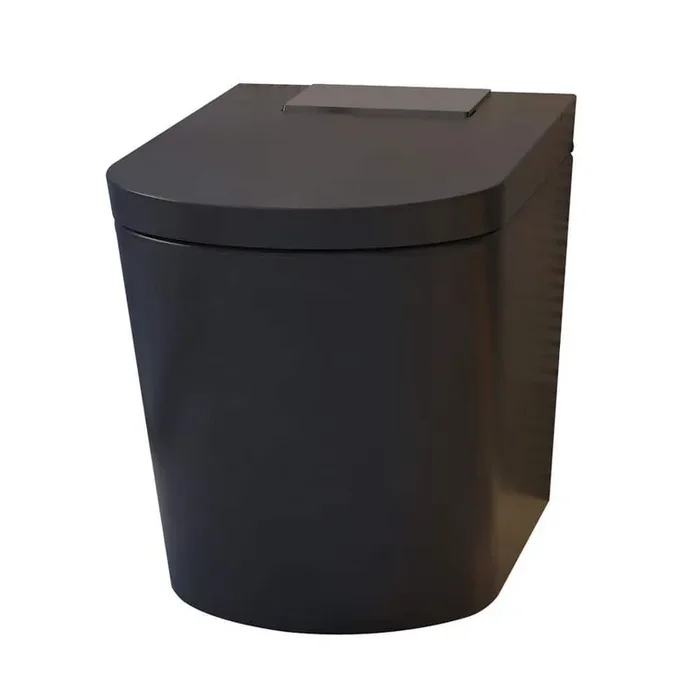M-Z Elongated Smart Bidet Toilet 1.34 GPF in Black with Auto Open/Close, Auto Flush, Heated Seat and Foot Sensor