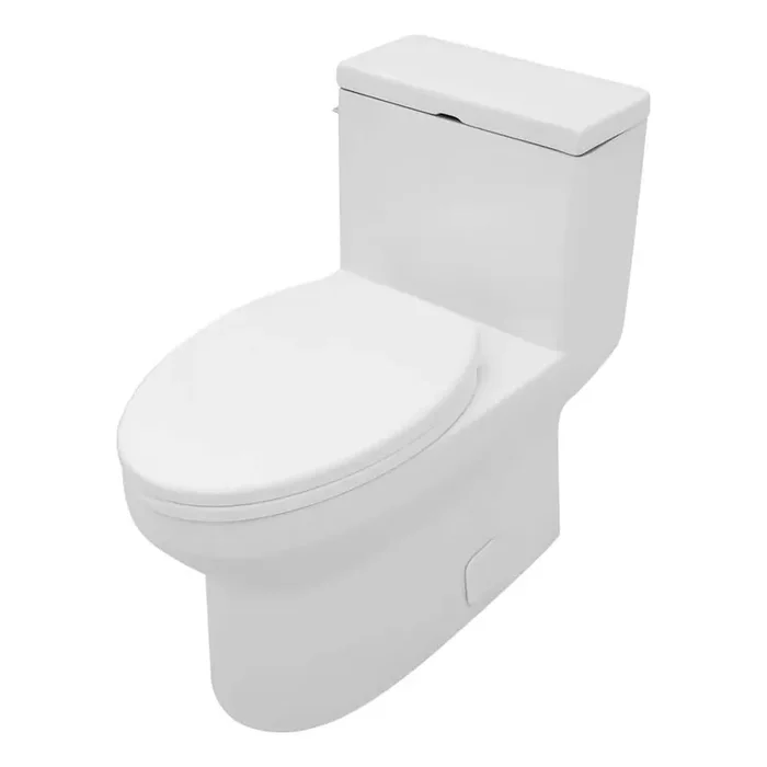 One-Piece 1.28/1.1 GPF Single Flush High-Efficiency Elongated Toilet in White with Slow Close Seat