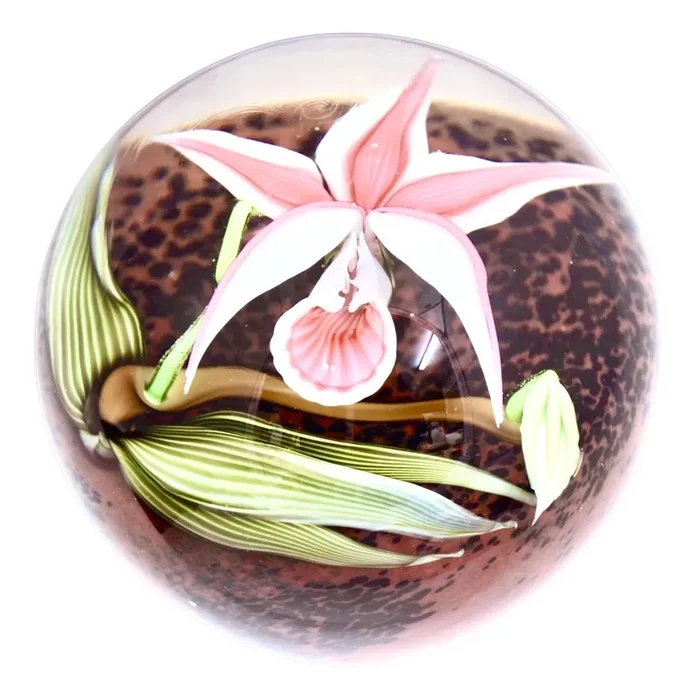 Orient & Flume Pink Sobralia Orchid Blown Glass Paperweight