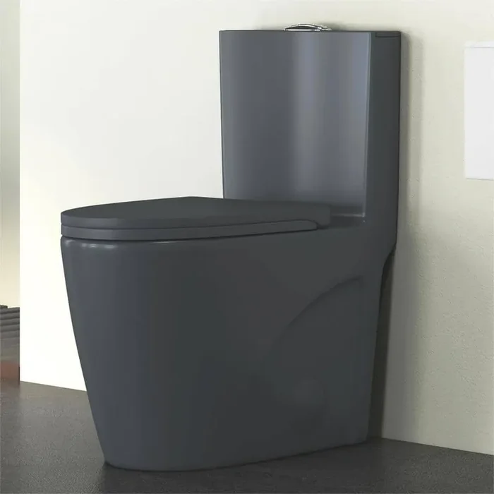 Reno 1-Piece 1.1/1.6 GPF Siphon Dual Flush Elongated ADA Chair Height Toilet in Charcoal Gray, Seat Included