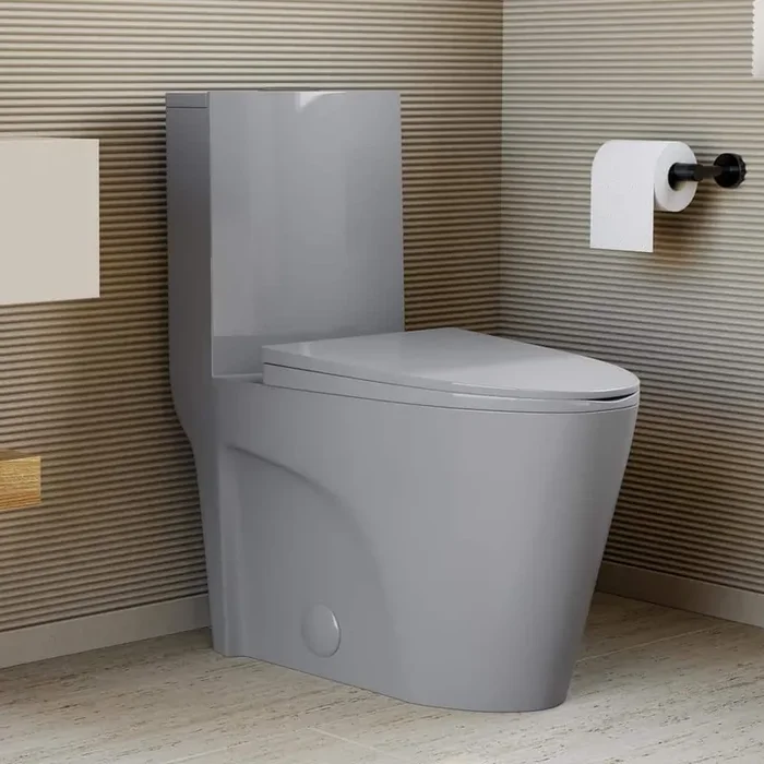 St. Tropez One-Piece Elongated Toilet Vortex Dual-Flush 1.1/1.6 gpf in Glossy Grey
