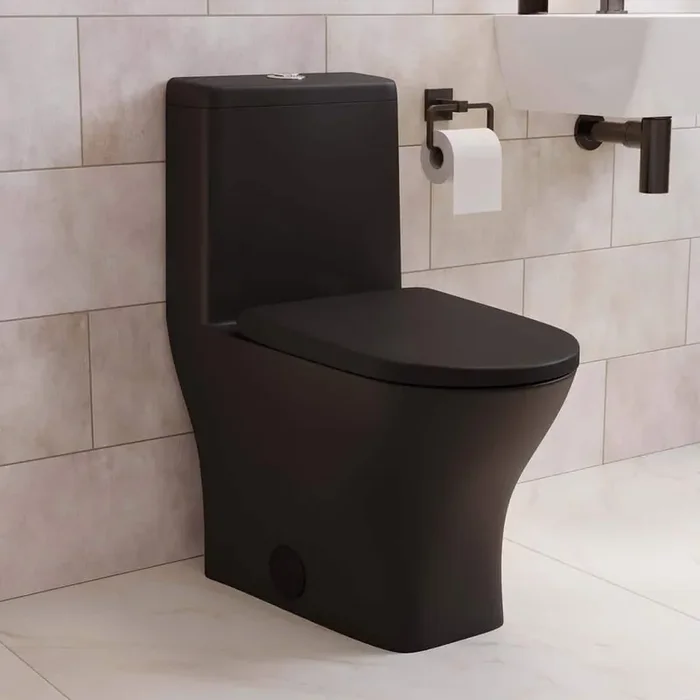 Sublime II 1-piece 1.1/1.6 GPF Toilet Dual Flush Round Toilet in Matte Black Seat Included