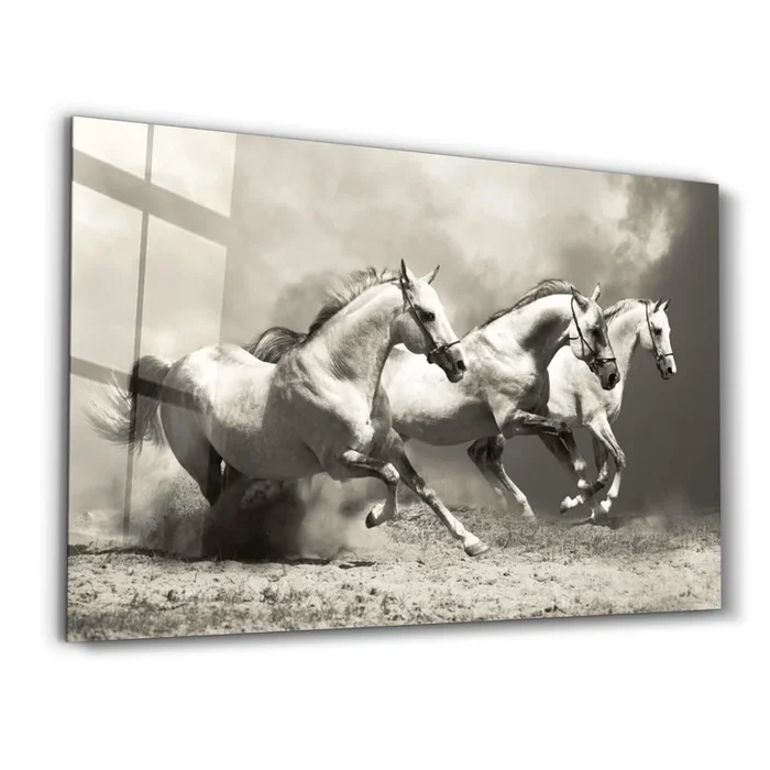 The Thunder of Hooves : Horses | Glass Wall Art