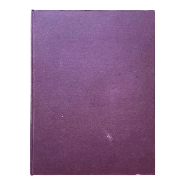Vintage Art Book Renoir and His Art